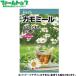  Япония сельское хозяйство производство овощи. вид / семена трава ромашка внутри емкость 0.2ml вид ( возможность слежения талант почтовая доставка отправка единый по всей стране 370 иен )11890