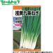  Япония сельское хозяйство производство овощи. вид / семена лук порей . желтый 9 статья лук порей внутри емкость 7ml вид ( возможность слежения талант почтовая доставка отправка единый по всей стране 370 иен )14980
