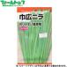  Япония сельское хозяйство производство овощи. вид / семена .. ширина широкий чесночный лук внутри емкость 5ml вид ( возможность слежения талант почтовая доставка отправка единый по всей стране 370 иен )14890