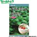  Япония сельское хозяйство производство овощи. вид / семена трава мята перечная внутри емкость 0.1ml вид ( возможность слежения талант почтовая доставка отправка единый по всей стране 370 иен )11870