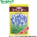 to- ho k овощи. вид / семена трава лаванда внутри емкость 0.5ml вид ( возможность слежения талант почтовая доставка отправка единый по всей стране 370 иен )07772