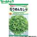 to- ho k овощи. вид / семена lettuce крепдешин ... внутри емкость 3ml вид ( возможность слежения талант почтовая доставка отправка единый по всей стране 370 иен )03460