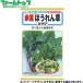 to- ho k овощи. вид / семена .... похоже красный стебель шпинат внутри емкость 16ml вид ( возможность слежения талант почтовая доставка отправка единый по всей стране 370 иен )07270