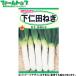 to- ho k овощи. вид / семена лук порей внизу . рисовое поле лук порей внутри емкость 5ml вид ( возможность слежения талант почтовая доставка отправка единый по всей стране 370 иен )03174