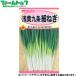 to- ho k овощи. вид / семена лук порей . желтый 9 статья маленький лук порей внутри емкость 7ml вид ( возможность слежения талант почтовая доставка отправка единый по всей стране 370 иен )02373