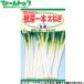 to- ho k овощи. вид / семена лук порей корень глубокий 1 шт futoshi лук порей внутри емкость 4.5ml вид ( возможность слежения талант почтовая доставка отправка единый по всей стране 370 иен )02235