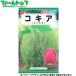 to- ho k цветок. вид / семена ko Kia внутри емкость 0.5ml вид ( возможность слежения талант почтовая доставка отправка единый по всей стране 370 иен )00508