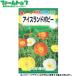to- ho k цветок. вид / семена лёд Land мак внутри емкость 0.1ml вид ( возможность слежения талант почтовая доставка отправка единый по всей стране 370 иен )09534