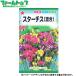 to- ho k цветок. вид / семена кермек ( смешивание ) внутри емкость 0.2ml вид ( возможность слежения талант почтовая доставка отправка единый по всей стране 370 иен )09230