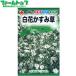 to- ho k цветок. вид / семена белый цветок гипсофила внутри емкость 1ml вид ( возможность слежения талант почтовая доставка отправка единый по всей стране 370 иен )00566