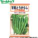 to- ho k овощи. вид / семена перец стручковый . длина перец стручковый . прекрасный внутри емкость 1.5ml вид ( возможность слежения талант почтовая доставка отправка единый по всей стране 370 иен )02733