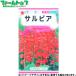 to- ho k цветок. вид / семена sa рубин a внутри емкость 0.4ml вид ( возможность слежения талант почтовая доставка отправка единый по всей стране 370 иен )00171