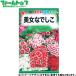 to- ho k цветок. вид / семена прекрасный женщина .... внутри емкость 1ml вид ( возможность слежения талант почтовая доставка отправка единый по всей стране 370 иен )00305