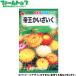 to- ho k цветок. вид / семена ....... внутри емкость 1ml вид ( возможность слежения талант почтовая доставка отправка единый по всей стране 370 иен )00225