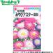 to- ho k цветок. вид / семена астер срезанный цветок для ... астер ( смешивание ) внутри емкость 1ml вид ( возможность слежения талант почтовая доставка отправка единый по всей стране 370 иен )04372