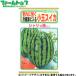 to- ho k овощи. вид / семена ... трещина . сильно рефрижератор . входить . маленький шар арбуз внутри емкость 0.8ml вид ( возможность слежения талант почтовая доставка отправка единый по всей стране 370 иен )04660