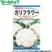 to- ho k овощи. вид / семена цветная капуста белый . внутри емкость 1ml вид ( возможность слежения талант почтовая доставка отправка единый по всей стране 370 иен )03430