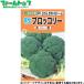 to- ho k овощи. вид / семена брокколи . сырой брокколи прекрасный . внутри емкость 1ml вид ( возможность слежения талант почтовая доставка отправка единый по всей стране 370 иен )03544