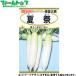 to- ho k овощи. вид / семена дайкон дайкон лето праздник внутри емкость 7ml вид ( возможность слежения талант почтовая доставка отправка единый по всей стране 370 иен )05841
