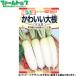 to- ho k овощи. вид / семена дайкон дайкон симпатичный дайкон маленький Taro внутри емкость 3ml вид ( возможность слежения талант почтовая доставка отправка единый по всей стране 370 иен )04571