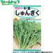 to- ho k овощи. вид / семена весна . средний лист ..... внутри емкость 25ml вид ( возможность слежения талант почтовая доставка отправка единый по всей стране 370 иен )01115