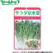 to- ho k овощи. вид / семена салат столица мизуна внутри емкость 10ml вид ( возможность слежения талант почтовая доставка отправка единый по всей стране 370 иен )01065