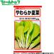 to- ho k овощи. вид / семена гора восток . мягкость лето . внутри емкость 6ml вид ( возможность слежения талант почтовая доставка отправка единый по всей стране 370 иен )01315