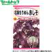 to- ho k овощи. вид / семена красный .. север море крепдешин красный .. внутри емкость 3ml вид ( возможность слежения талант почтовая доставка отправка единый по всей стране 370 иен )02542