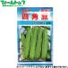 to- ho k овощи. вид / семена ... 4 угол бобы внутри емкость 10ml вид ( возможность слежения талант почтовая доставка отправка единый по всей стране 370 иен )06354