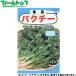 utane овощи. вид / семена трава кориандр внутри емкость 7ml вид ( возможность слежения талант почтовая доставка отправка единый по всей стране 370 иен )60165