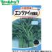 utane овощи. вид / семена China овощи водяной шпинат ( бамбук лист серия ) внутри емкость 8ml вид ( возможность слежения талант почтовая доставка отправка единый по всей стране 370 иен )08216