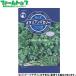 utane овощи. вид / семена трава итальянская петрушка - внутри емкость 5ml вид ( возможность слежения талант почтовая доставка отправка единый по всей стране 370 иен )08224