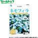 utane цветок. вид / семена немофила внутри емкость 0.5ml вид ( возможность слежения талант почтовая доставка отправка единый по всей стране 370 иен )90051