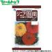 utane цветок. вид / семена jinia( 100 день .) огромный колесо георгина . специальный отбор смешивание внутри емкость 1.5ml вид ( возможность слежения талант почтовая доставка отправка единый по всей стране 370 иен )31910