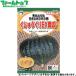 utane овощи. вид / семена тыква жребий ....EX юг . внутри емкость 4ml вид ( возможность слежения талант почтовая доставка отправка единый по всей стране 370 иен )37701