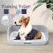  собака туалет собака туалет tray широкий воспитание чистый ..... предотвращение собака для игрушка Repetto для тренировка туалет 