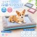  домашнее животное bed собака летний bed .... bed контакт охлаждающий ... охлаждающий коврик прохладный коврик предотвращение скольжения симпатичный ... собака кошка собака для прохладный bed маленький размер собака 