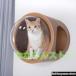  кошка walk стена установка из дерева космический корабль кошка house прозрачный для домашних животных bed воздух дыра . купол форма кошка для bed башня для кошки кошка подножка стена установка соответствует пол класть соответствует 