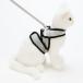 petioAnycat Harness простой S серый [trmt]