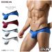  цельный нейлон мужской бикини 3D передний простой скорость . тонкий Rollei z sexy мужчина нижнее белье Brief ....pli нет Match . День отца GT-LINE TAUWELL