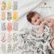 CLEMENTINE KIDS �N�������^�C���L�b�Y ���X���� �X���h��(������� �K�[�[ �މ@ �u�����h �o�Y�j�� �V���� ���X���� �K�[�[������� �Ԃ���� �������)