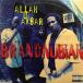 12inch쥳ɡBRAND NUBIAN / ALLAH U AKBAR