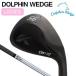  Kasco женский Dolphin Wedge черный N.S.PRO 750GH Wrap Tehc steel вал [ производство на заказ ]