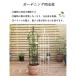 �I�x���X�N �K�[�f�� �x�� �g�����X ////m ����ȒP ������ �ȈՑg���� �鐫�A�� �o���p �x�� �Ԏx�� �� ���|�p�i �o�� �K�N �� �K�[�f�j�� �֘A�摜1
