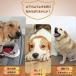 ���p �����{�[�������`���[ �{�[��9�t�� 3���[�h �������Ή� �������O���p �O���[��/�u���[/�I�����W/���C�g�O���[�� �֘A�摜3