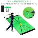  Golf тренировка Golf коврик swing тренировка swing . дорога следы . осталось . тренировка для Golf коврик следы ... swing коврик салон дом наружный элемент .. тренировка Schott 