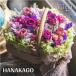 �h���C�t�����[ �o�� �������� �J�X�j�� ������� �� �h���C�t�����[ �C���e���A �h���C�t�����[�u�[�P �a�����v���[���g �ԑ� �V�z�j�� �J�Əj�� ������ �o�Y�j