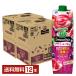 ��ؐ���100 Smoothie �A�T�C�[���x���[Mix �X���[�W�[ �J�S�� 1000g ���p�b�N 6�{�~2�P�[�X�i12�{�j ��������