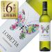 磻 ڥ ɥߥ˥  ץ󥯥ȥ ٥ƥ ɥ 2024 750ml