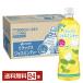 . wistaria . relax jasmine tea 600ml PET bottle 24ps.@1 case free shipping 